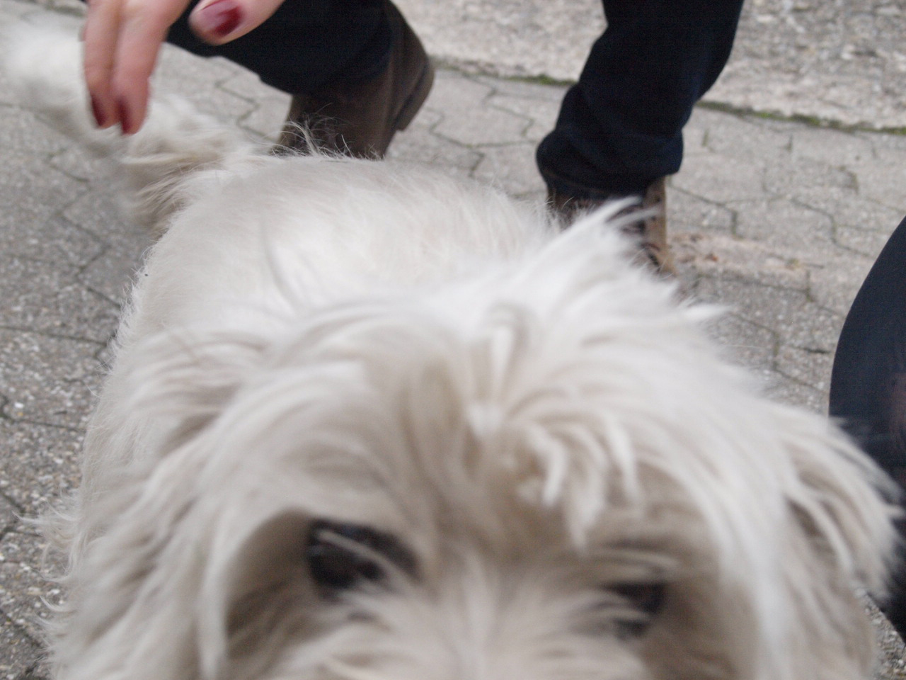 Lucy