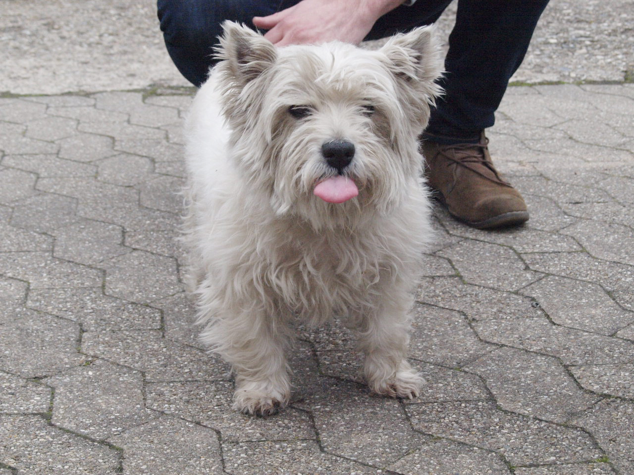 Lucy