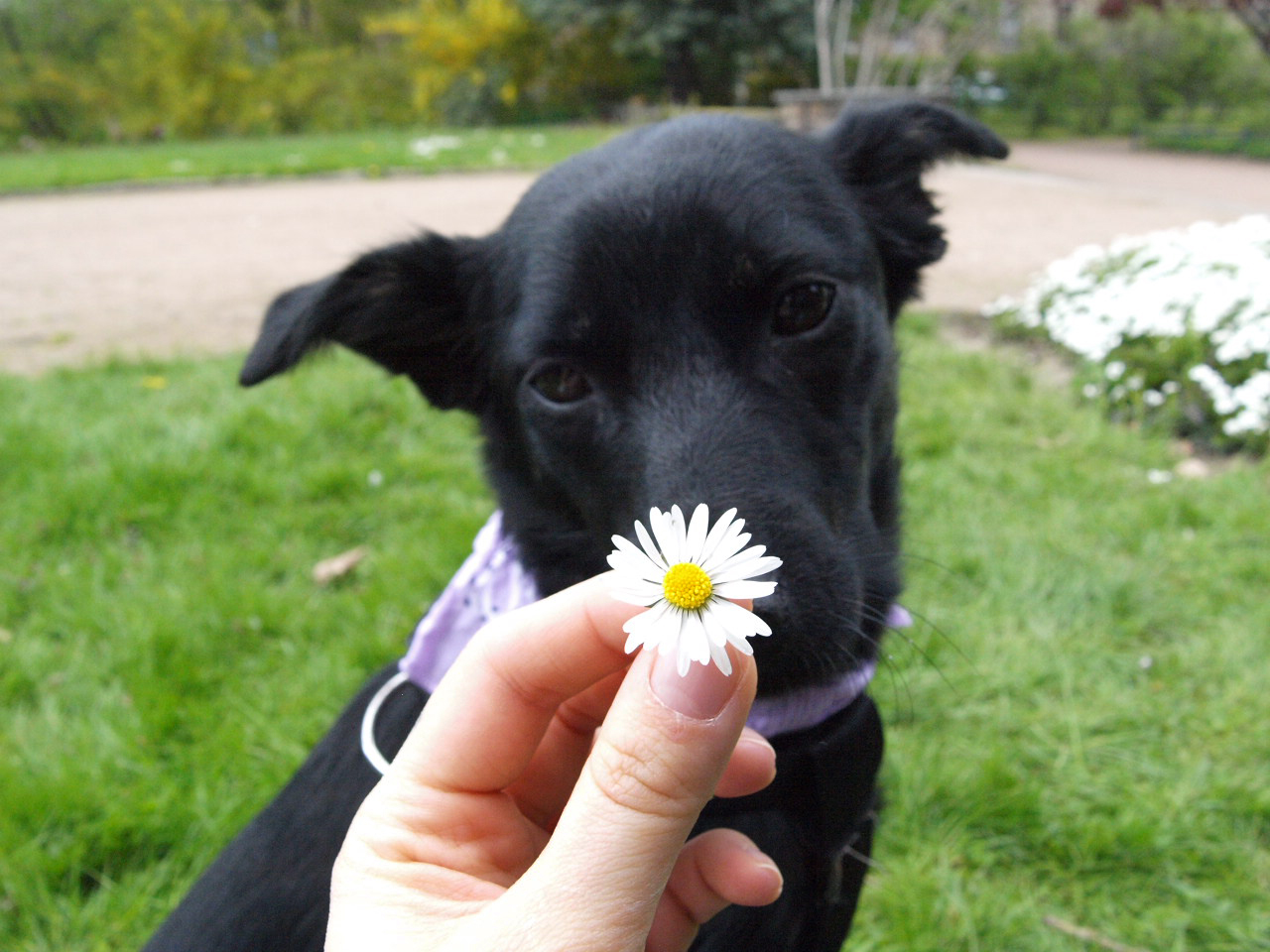 Lucy