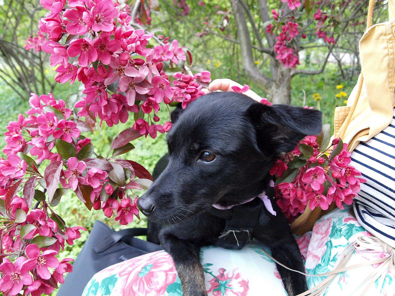 Lucy