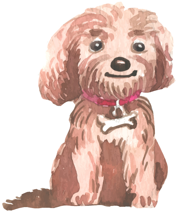 Lucy