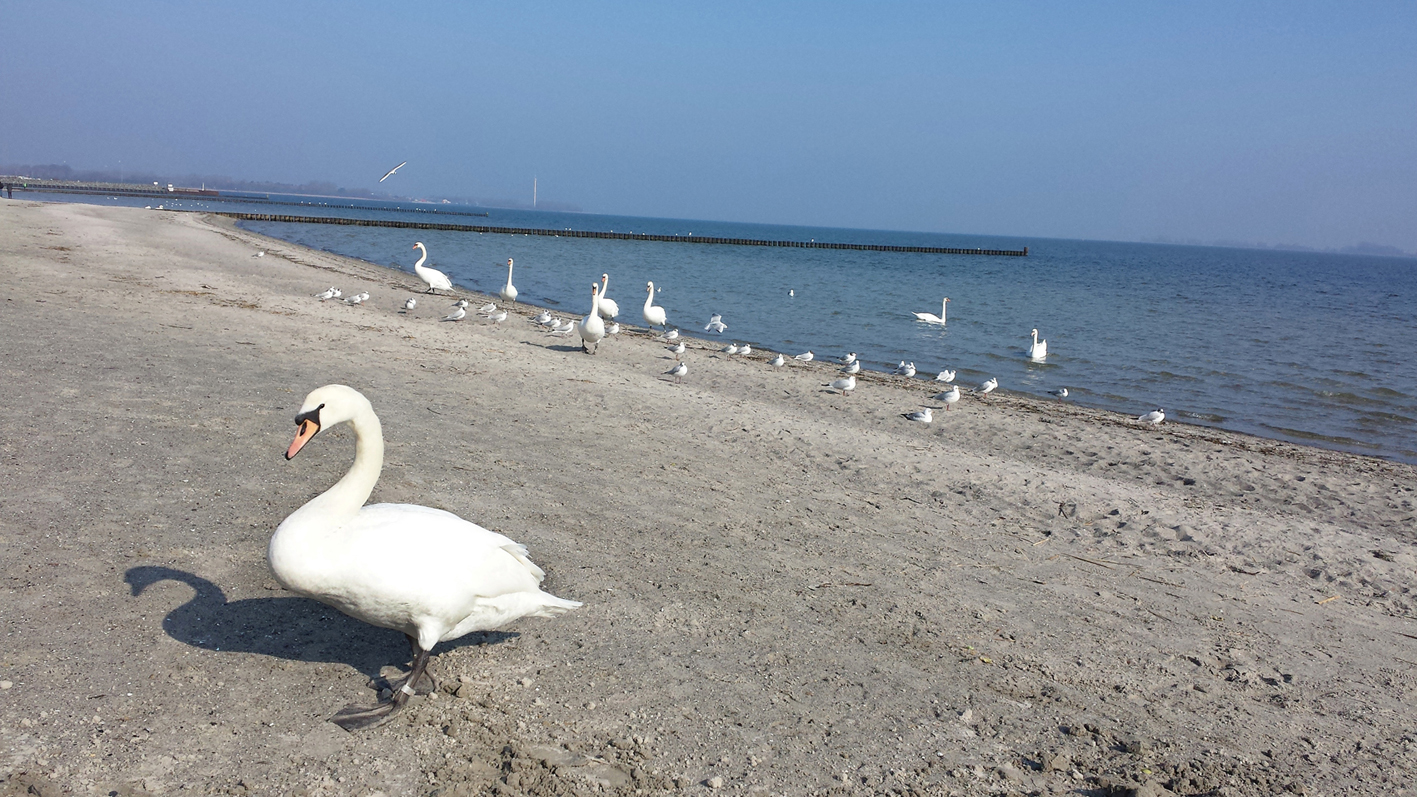 Ostsee