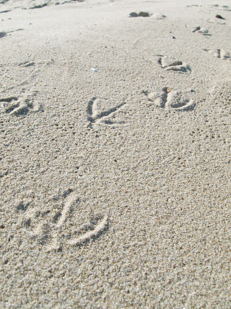 Ostsee